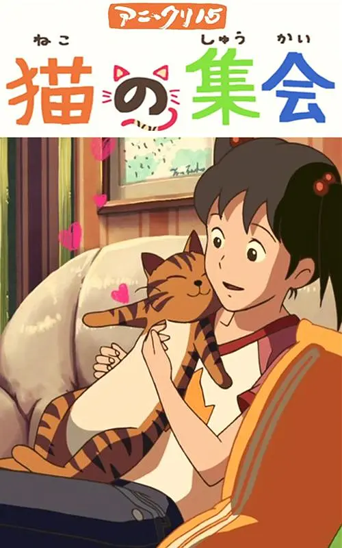 九色91视频