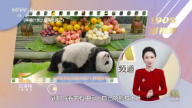 农夫山泉有点甜dvd理论片